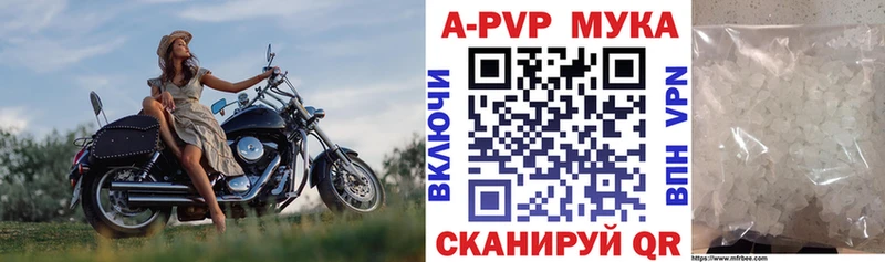 omg маркетплейс  Артёмовск  APVP СК КРИС 
