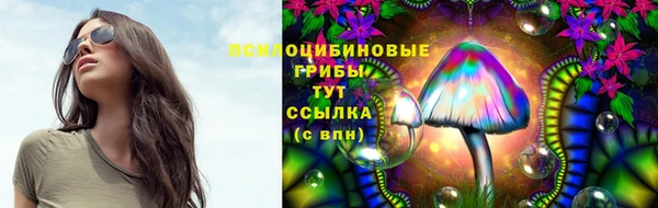 шишки Алексин