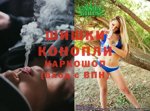 шишки Алексин