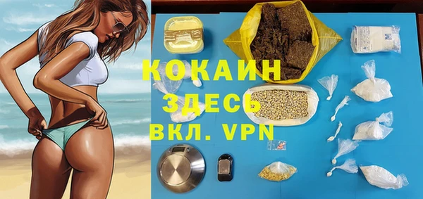 шишки Алексин