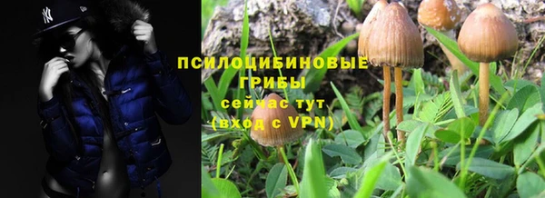 шишки Алексин